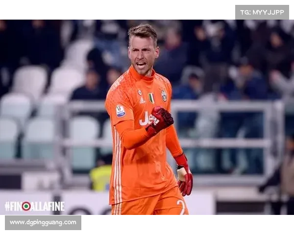 巴西联赛新赛季转会分析与趋势洞察：新兴力量与传统豪门的博弈