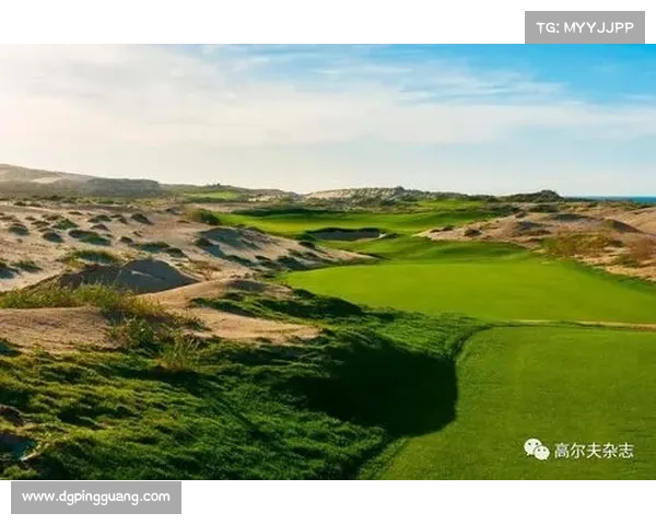 布克如何通过社交媒体打造个人品牌与球场形象的成功策略